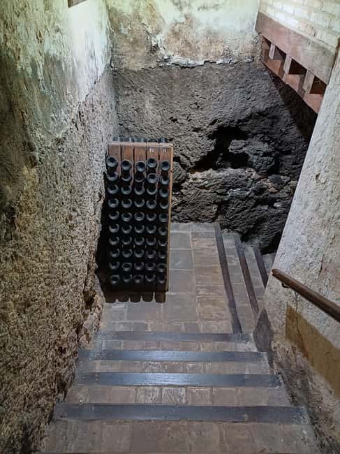 Valencia: Vineyard Tour, Local Wine, Cava Tasting & Snacks - Is $81 a fair price?