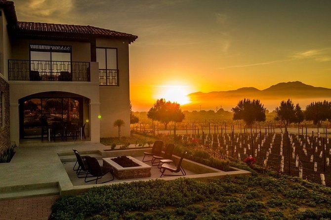 Valle de Guadalupe Premium Wine and Vineyard Wagon Tour - Key things to know before you book