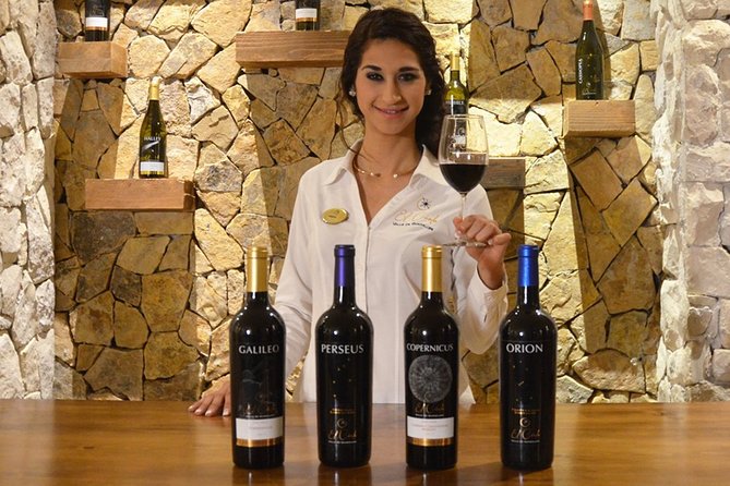 Valle de Guadalupe Premium Wine and Vineyard Wagon Tour - What $79 buys you