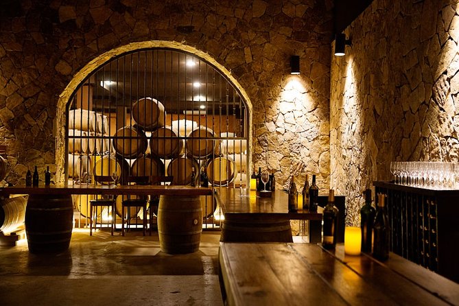 Valle de Guadalupe Premium Wine and Vineyard Wagon Tour - Choosing between the one-hour and two-hour options