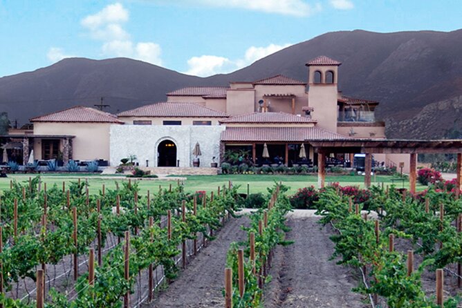 Valle de Guadalupe Premium Wine and Vineyard Wagon Tour - Who will enjoy this wine tour most