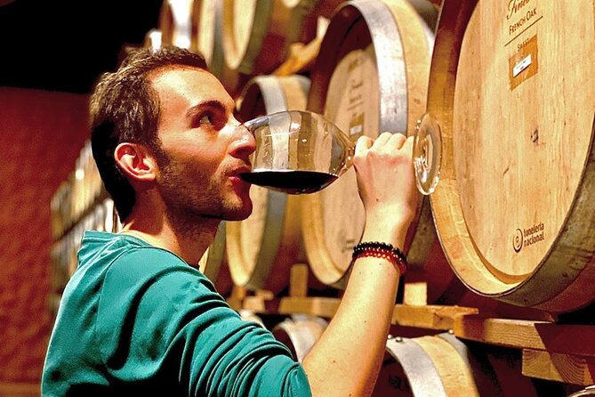 Valle de Guadalupe Premium Wine and Vineyard Wagon Tour - Three signature wines with valley views