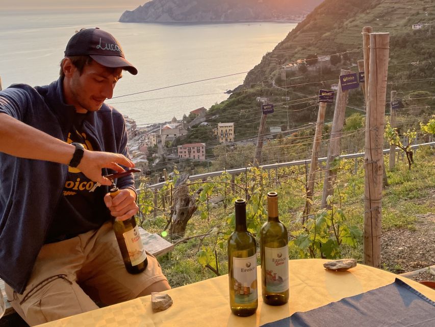 Vernazza: Panoramic Vineyard Trekking Tour w/ Wine Tasting - Key details before you book