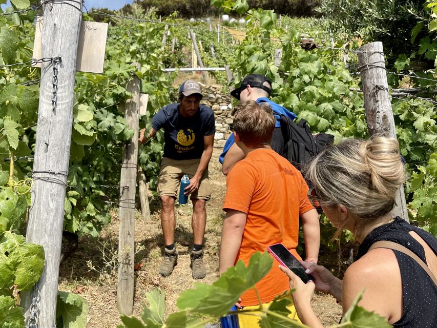 Vernazza: Panoramic Vineyard Trekking Tour w/ Wine Tasting - Eroico Vineyard and the Cinque Terre setting