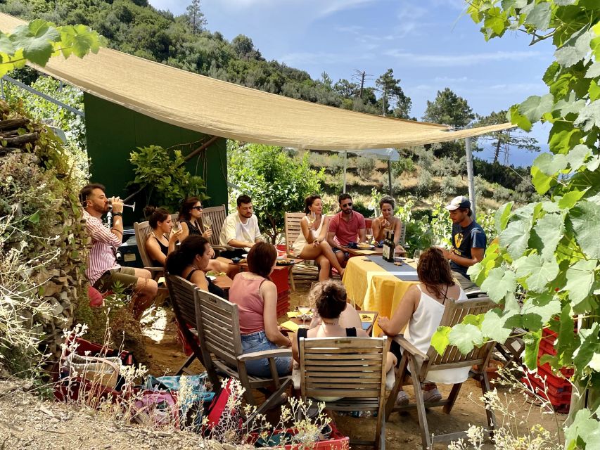Vernazza: Panoramic Vineyard Trekking Tour w/ Wine Tasting - The return walk to Vernazza