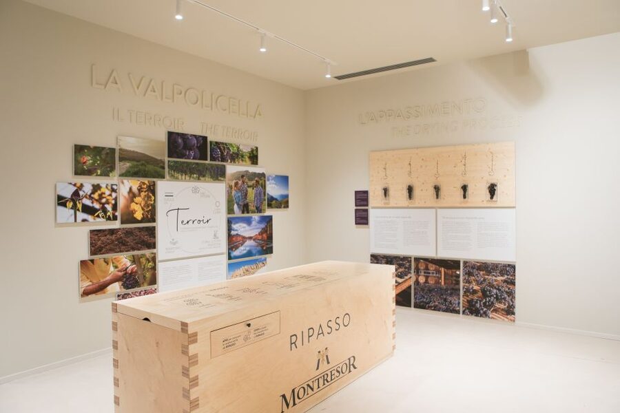 Verona: Montresor Winery Visit with Wine Tasting and Snacks - Why this winery visit works well in Verona