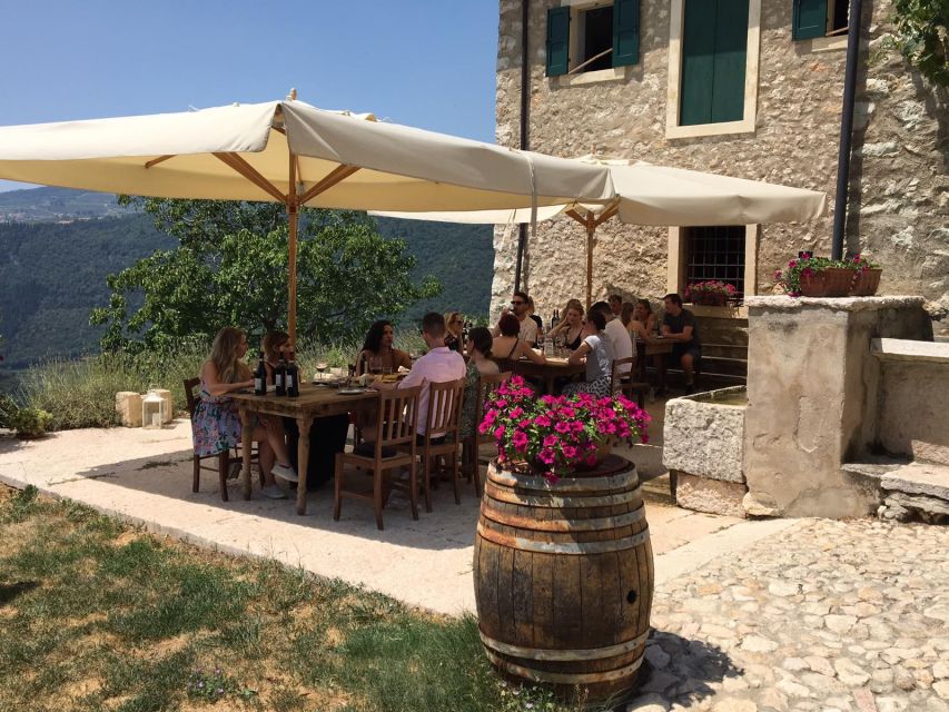 Verona: Vineyard and Winery Tour with Wine Tasting - From Verona to the hills of Valpolicella