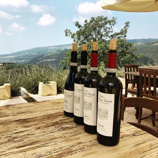 Verona: Vineyard and Winery Tour with Wine Tasting - Local food on the terrace
