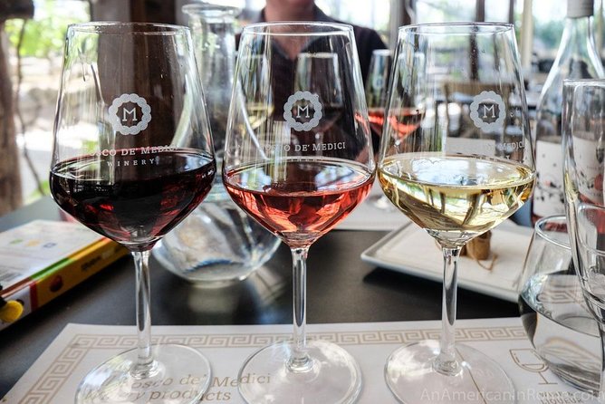 Vesuvius, Pompeii Ruins, experience vineyards and the winery tour with lunch. - Visiting Vesuvius between ruins and lunch