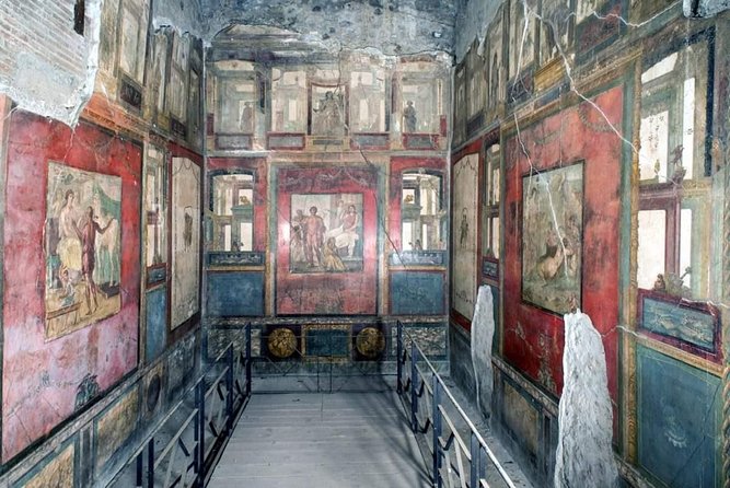 Vesuvius, Pompeii Ruins, experience vineyards and the winery tour with lunch. - Who should book this experience?