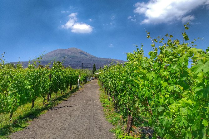 Vesuvius & Vineyard select from Sorrento - How much time do you spend on the bus?
