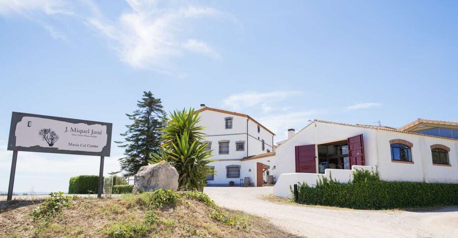Vilafranca del Penedès: Winery Visit with Tastings - Why Alt Penedès is a good place for a winery visit
