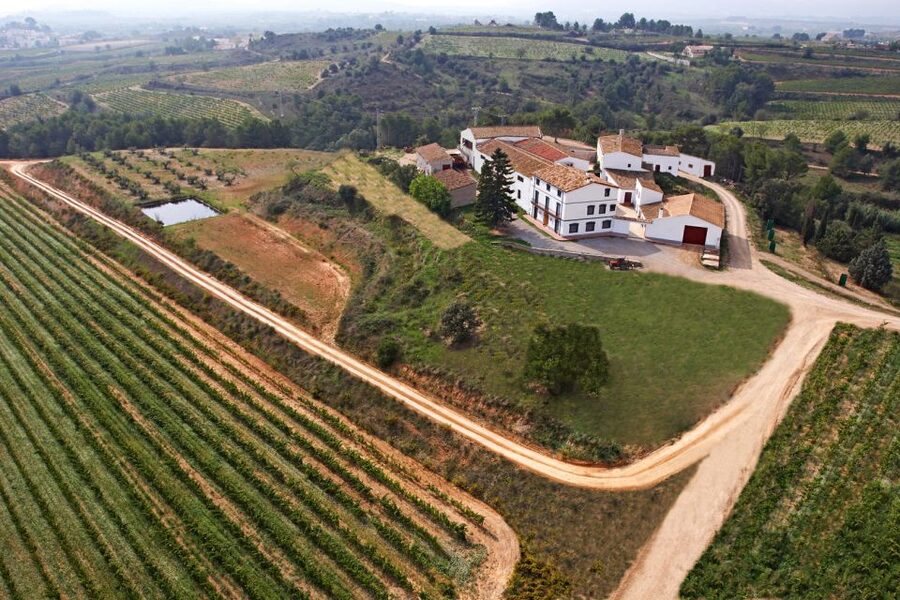 Vilafranca del Penedès: Winery Visit with Tastings - The guides shape the experience