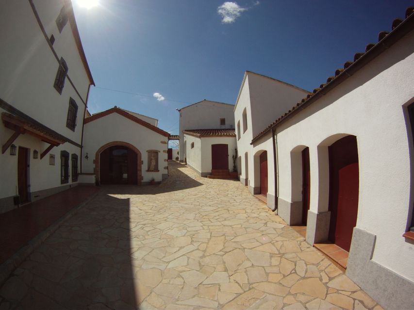 Vilafranca del Penedès: Winery Visit with Tastings - Practical planning before you go
