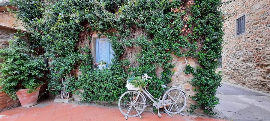 Vinci:Discovering Leonardo's Origins & Aperitif in Vineyards - Exploring Vinci and its medieval streets
