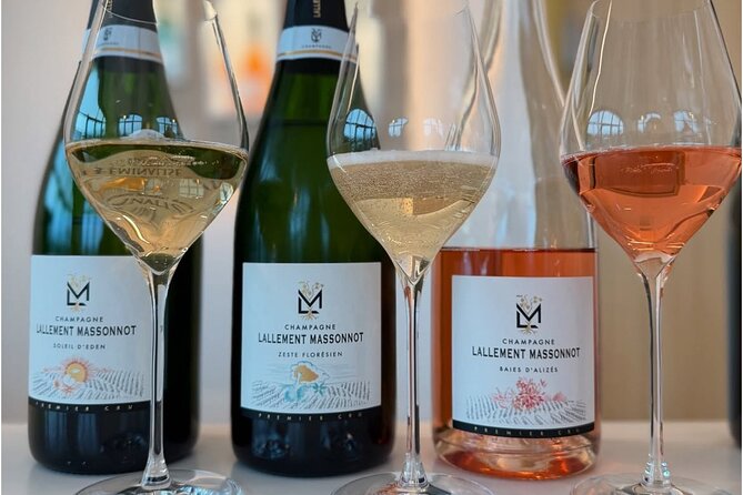Vineyard and Triple Tasting First Cru in the Mountains of Reims - Key points at a glance