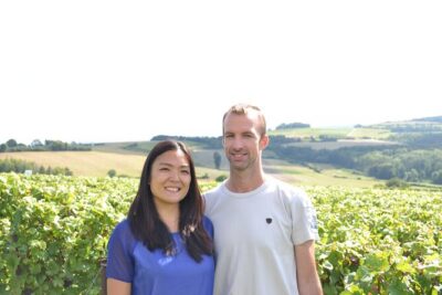 Vineyard and Triple Tasting First Cru in the Mountains of Reims