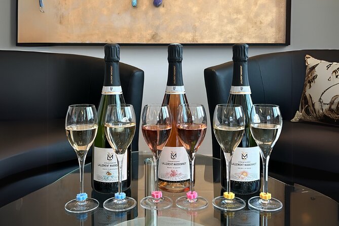 Vineyard and Triple Tasting First Cru in the Mountains of Reims - Who will enjoy this Champagne tasting most