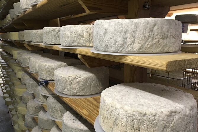 Vineyard & Cheesemaker Bus Tour of Sussex - Why this Sussex tour works well from Brighton