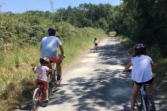 Vineyard cycle tours in and around Chinon, in the Loire Valley - What the winery visits add to the day