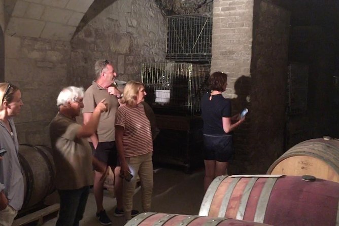 Vineyard cycle tours in and around Chinon, in the Loire Valley - Guides Quintin and Neil set the tone