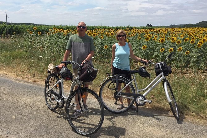 Vineyard cycle tours in and around Chinon, in the Loire Valley - Who will enjoy this Chinon cycling tour?