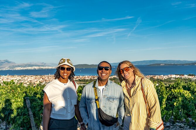 Vineyard Experience: Wine Tasting near Split - Meeting at the Golden Gate in Split