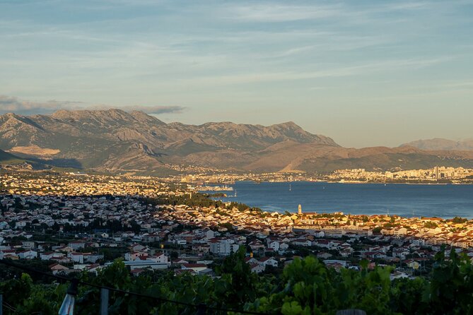 Vineyard Experience: Wine Tasting near Split - What the Wine Presentation Adds