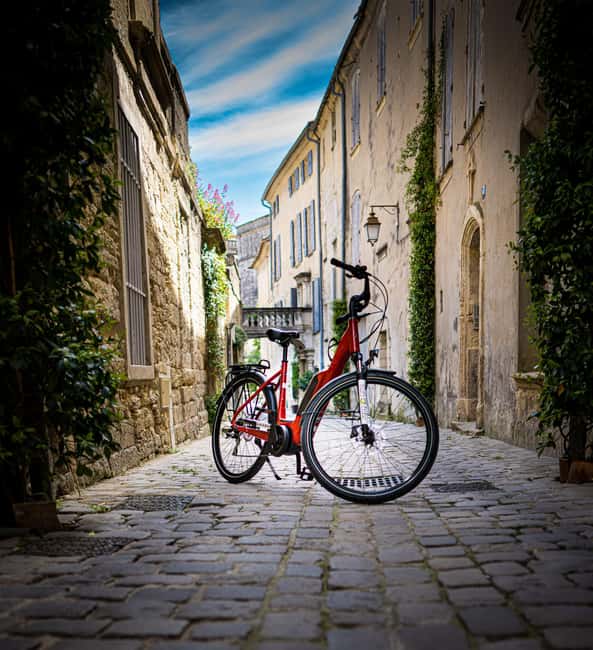 Vineyard of the Alpilles by bike - Key points at a glance