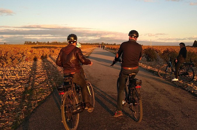Vineyard of the Alpilles by bike - How the $65.02 price measures up