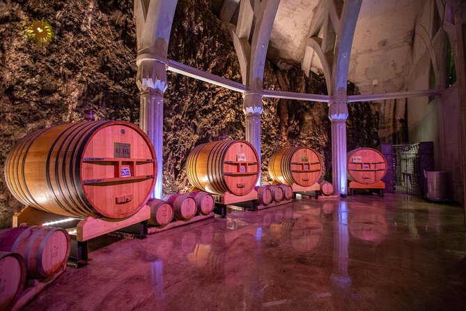 Vineyard of the Alpilles by bike - Who will enjoy this Saint-Rémy cycling day