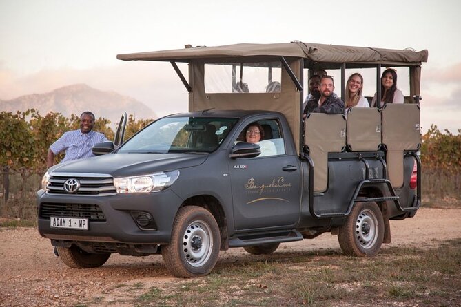 Vineyard Safari and Wine Tasting in Hermanus with Guide - Key points to know before you go