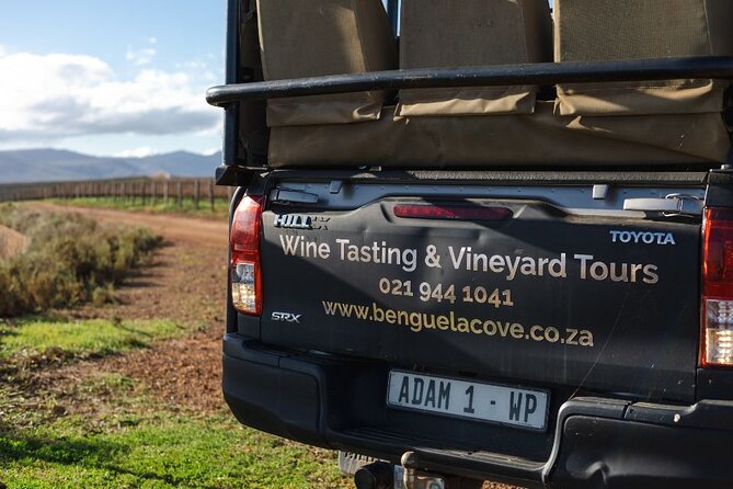 Vineyard Safari and Wine Tasting in Hermanus with Guide - Seeing the olive groves and Kogelberg Biosphere