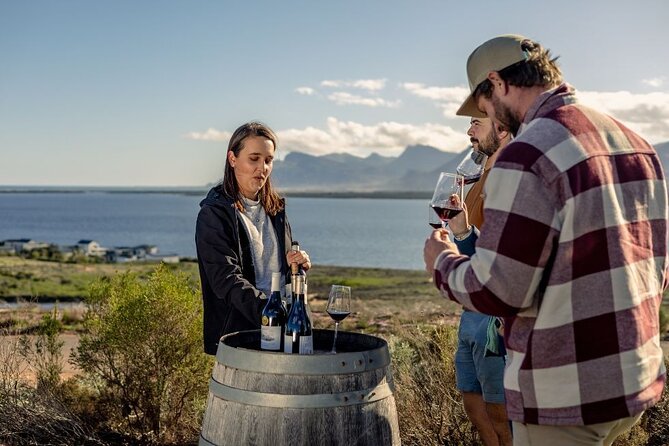 Vineyard Safari and Wine Tasting in Hermanus with Guide - Staying for lunch or dinner at Benguela Cove