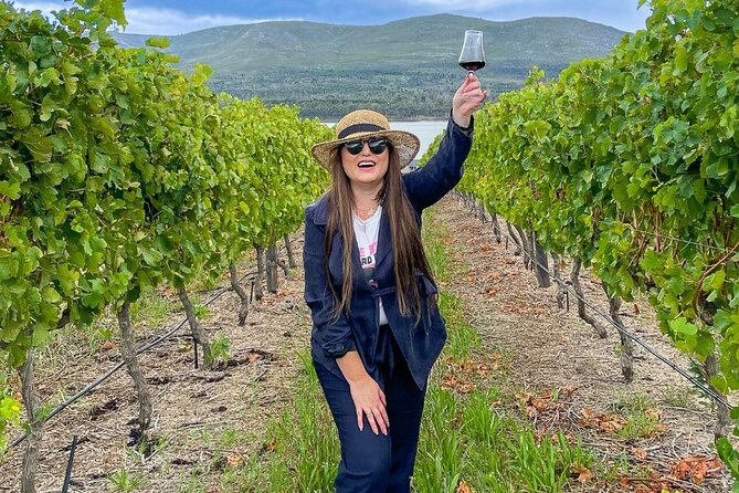 Vineyard Safari and Wine Tasting in Hermanus with Guide - Who will enjoy this tour most