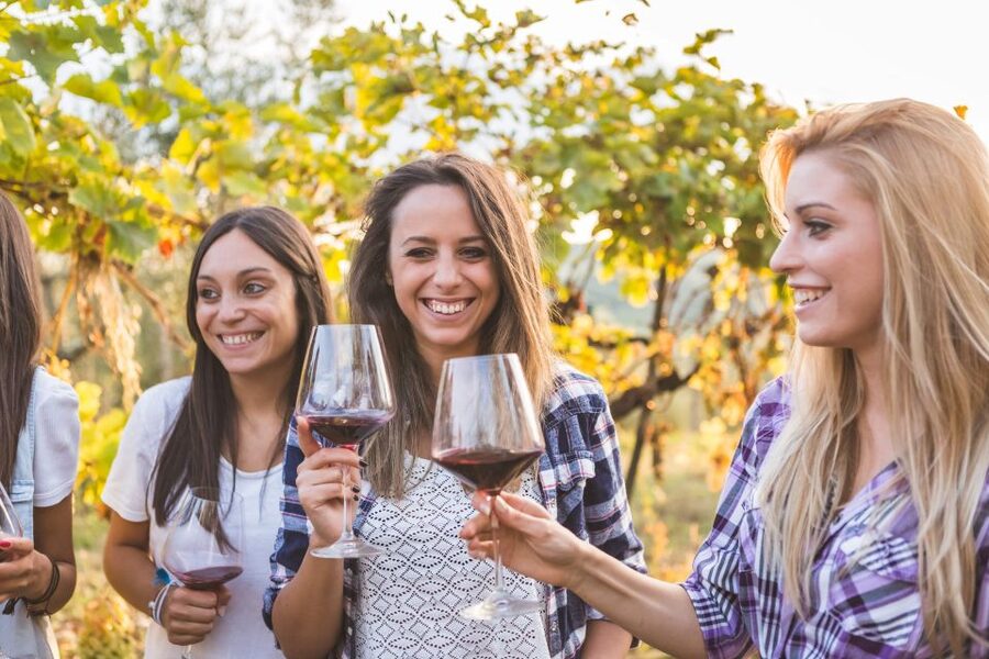 Vineyard Sips: Family Winery Tour & Gourmet Tasting in Corfu - The outdoor vineyard lounge and the pace of the visit