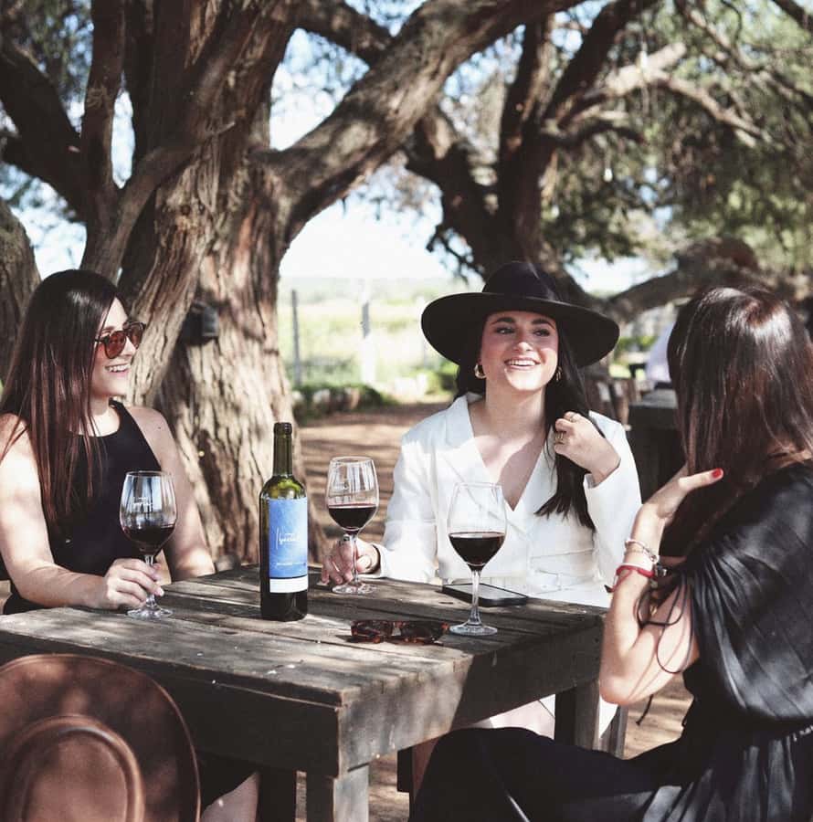 VINEYARD TOUR - Key points before you book