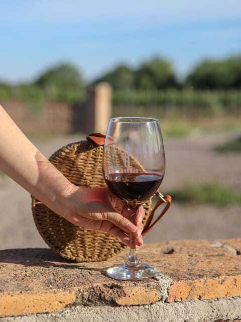 VINEYARD TOUR - Second stop: Hacienda de Letras and wine with food