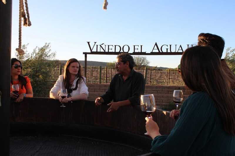 VINEYARD TOUR - Tips for making the day better