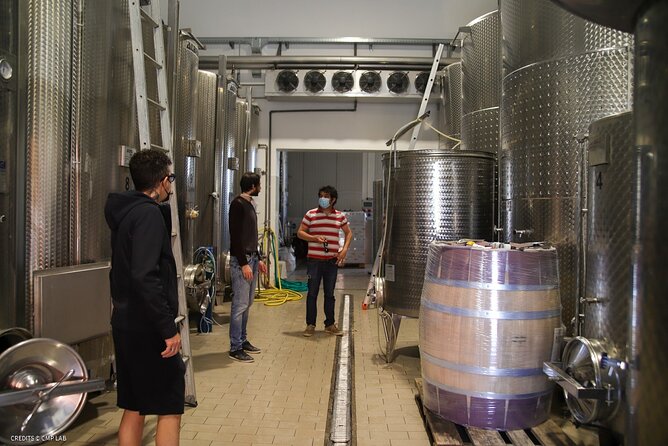 Vineyard Tour and Tasting of Lugana Wines - The Old Cellar Tasting Room