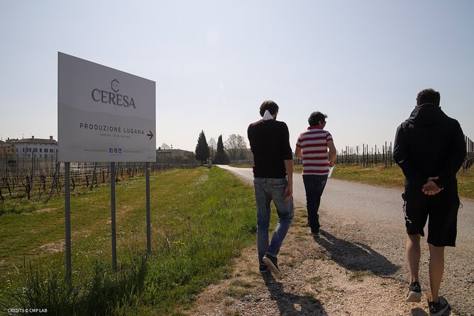 Vineyard Tour and Tasting of Lugana Wines - Cold Cuts, Bread, Omelette, and Grana Padano