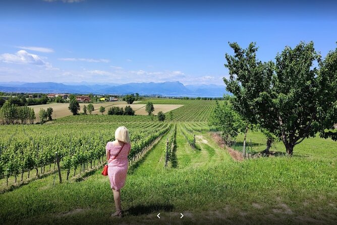 Vineyard Tour and Tasting of Lugana Wines - Walking Through the Vineyard
