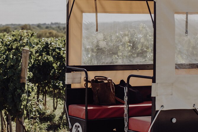 Vineyard tour and wine tasting in Davron - Three vintages at the estate