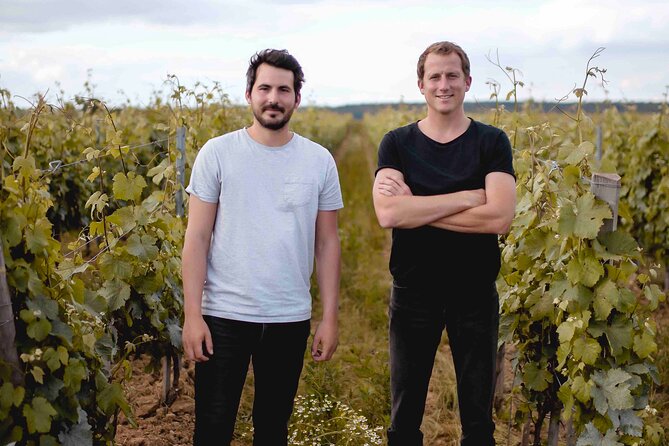 Vineyard tour and wine tasting in Davron - The guide can shape the whole afternoon