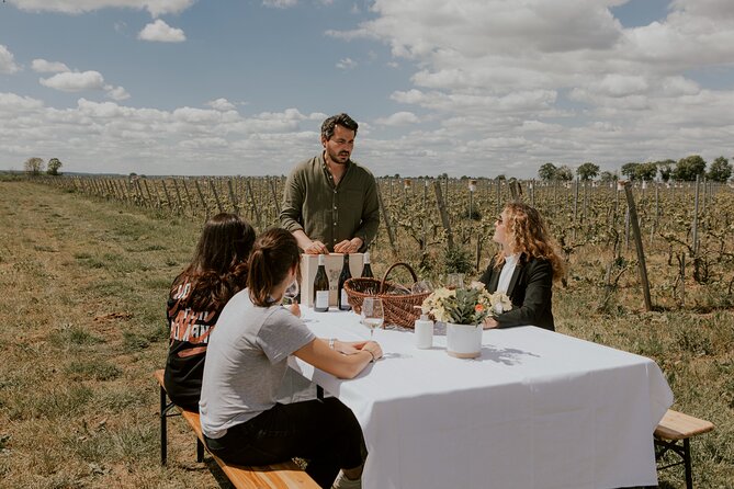 Vineyard tour and wine tasting in Davron - Who will enjoy this Davron visit?
