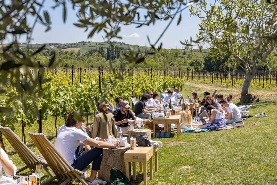 Vineyard Tour and Winery Visit with Tasting of Wines of Romagna - Why This Winery Belongs on a Rimini Itinerary