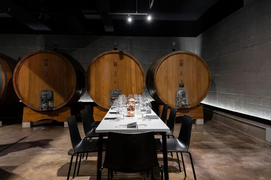 Vineyard Tour and Winery Visit with Tasting of Wines of Romagna - How Good Is the English Guiding?