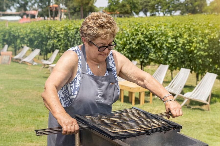 Vineyard Tour and Winery Visit with Tasting of Wines of Romagna - Price and Overall Value at $59