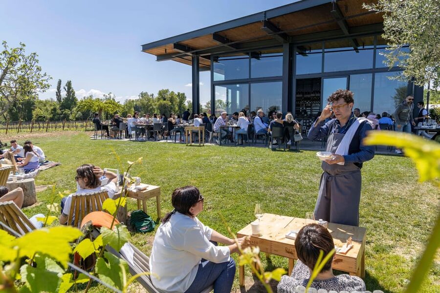Vineyard Tour and Winery Visit with Tasting of Wines of Romagna - Who Will Enjoy This Most?