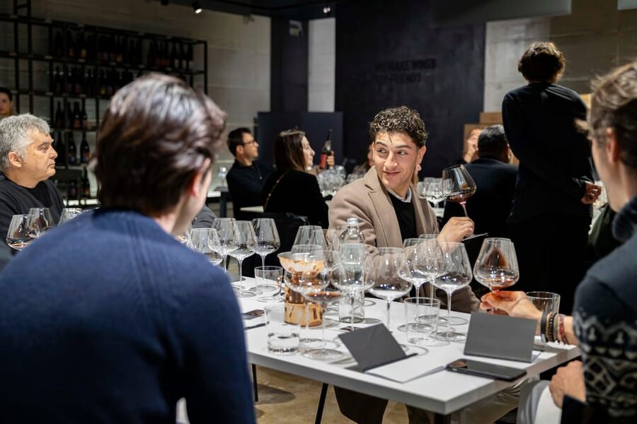 Vineyard Tour and Winery Visit with Tasting of Wines of Romagna - Helpful Planning Advice